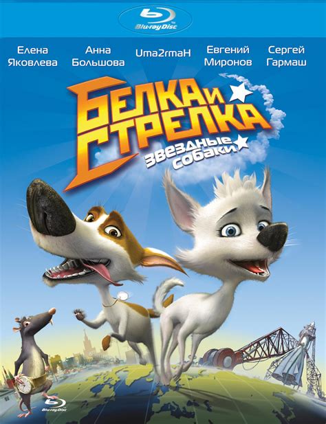 Звёздные собаки: Белка и Стрелка 
 2024.04.19 12:21 смотреть онлайн в хорошем качестве HD.
